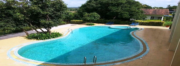 762/United-21 Vanvaso Gir - Gir National Park 08.jpg